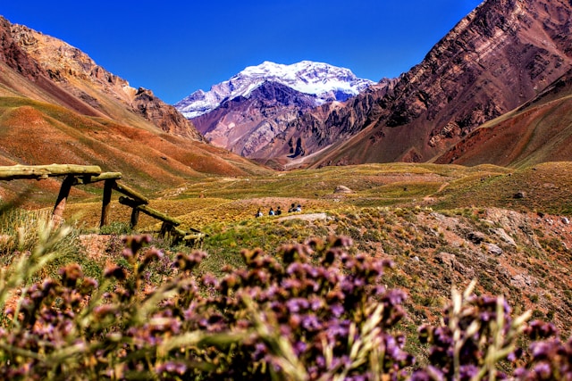 Salta